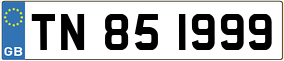 Truck License Plate